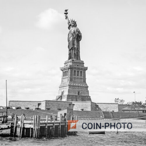 Photo de la statue de la liberté à New York - 1905